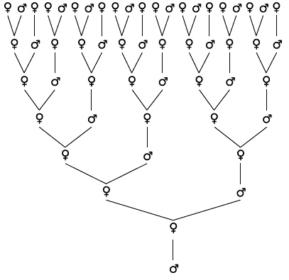 Иллюстрация к книге — Число Бога. Золотое сечение – формула мироздания [_154r.jpg]