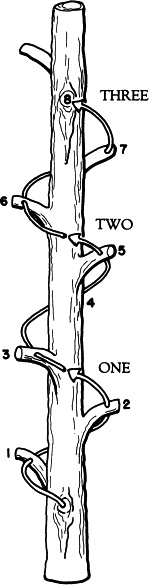 Иллюстрация к книге — Число Бога. Золотое сечение – формула мироздания [_167.jpg]