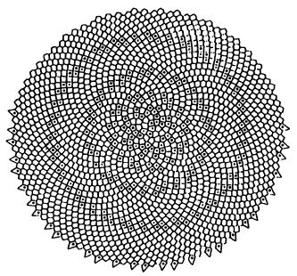 Иллюстрация к книге — Число Бога. Золотое сечение – формула мироздания [_175.jpg]