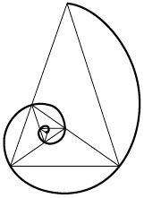 Иллюстрация к книге — Число Бога. Золотое сечение – формула мироздания [_181_2.jpg]