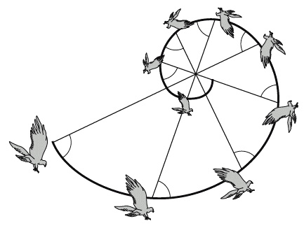 Иллюстрация к книге — Число Бога. Золотое сечение – формула мироздания [_182.jpg]