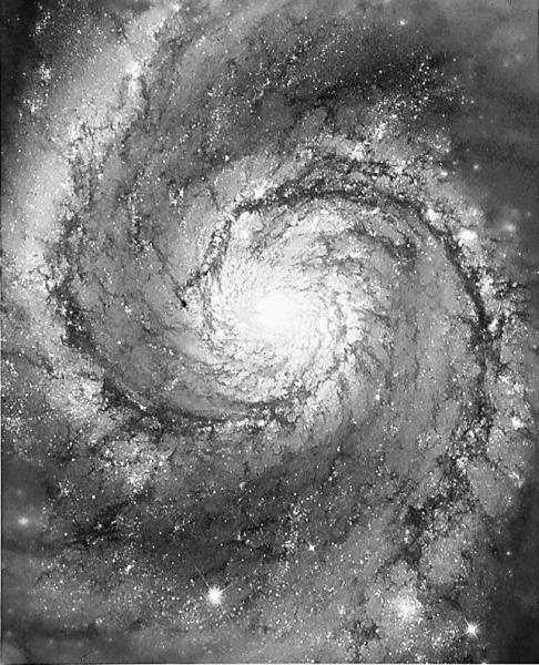 Иллюстрация к книге — Число Бога. Золотое сечение – формула мироздания [_184.jpg]