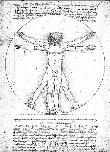 Иллюстрация к книге — Число Бога. Золотое сечение – формула мироздания [_203.jpg]