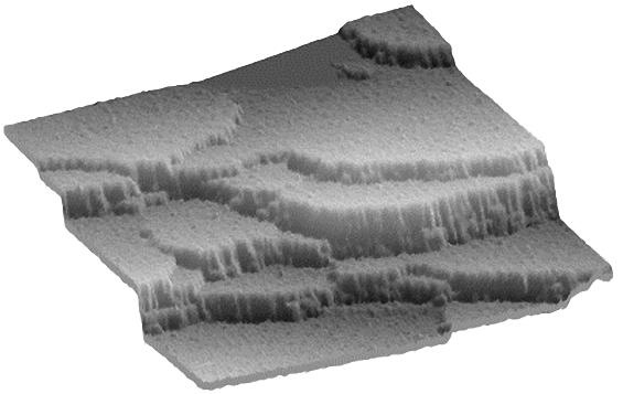 Иллюстрация к книге — Число Бога. Золотое сечение – формула мироздания [_314_2.jpg]