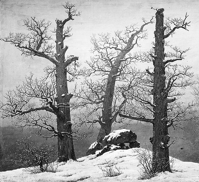 Иллюстрация к книге — Число Бога. Золотое сечение – формула мироздания [_323.jpg]