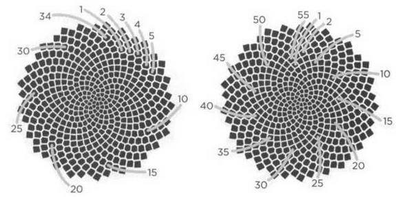 Иллюстрация к книге — Тьюринг. Компьютерное исчисление [img_43.jpg]