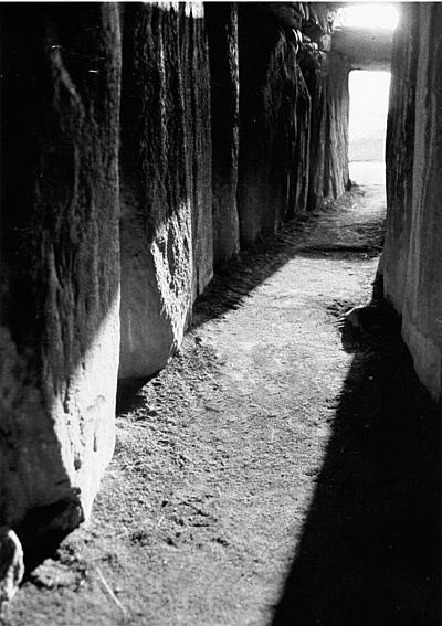 Иллюстрация к книге — В погоне за Солнцем [_12.jpg]