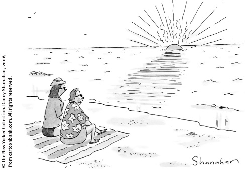 Иллюстрация к книге — В погоне за Солнцем [_126.jpg]