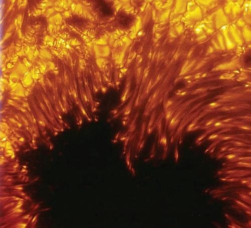 Иллюстрация к книге — В погоне за Солнцем [_131.jpg]