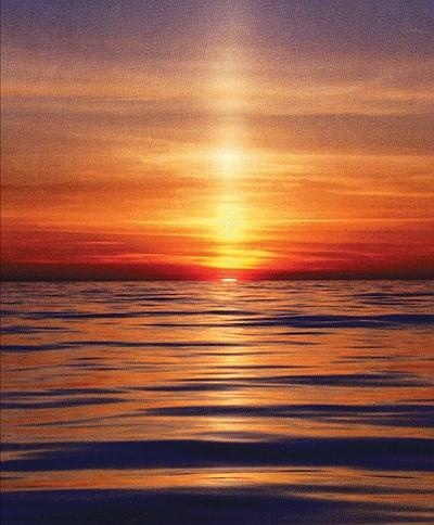 Иллюстрация к книге — В погоне за Солнцем [_141.jpg]