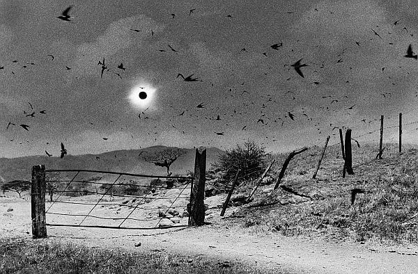 Иллюстрация к книге — В погоне за Солнцем [_43.jpg]