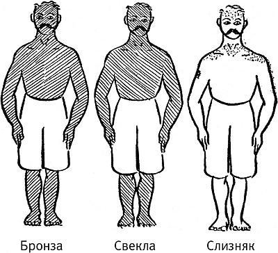 Иллюстрация к книге — В погоне за Солнцем [_47.jpg]