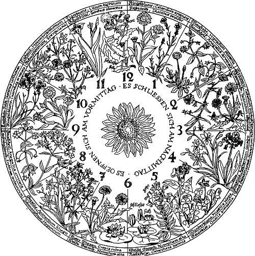 Иллюстрация к книге — В погоне за Солнцем [_61.jpg]