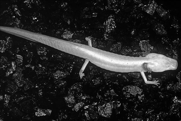 Иллюстрация к книге — В погоне за Солнцем [_62.jpg]