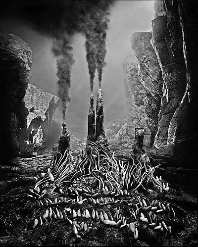 Иллюстрация к книге — В погоне за Солнцем [_63.jpg]