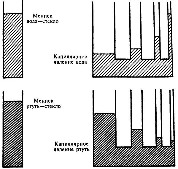 Иллюстрация к книге — Популярная физика. От архимедова рычага до квантовой теории [i_025.jpg]