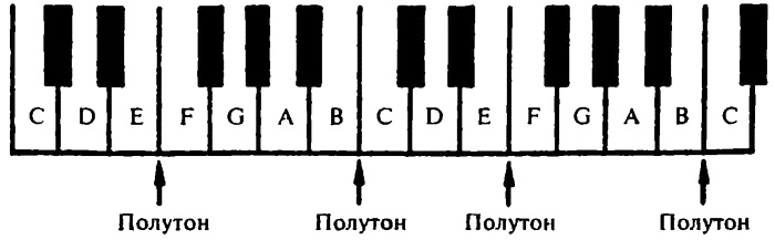 Иллюстрация к книге — Популярная физика. От архимедова рычага до квантовой теории [i_034.jpg]