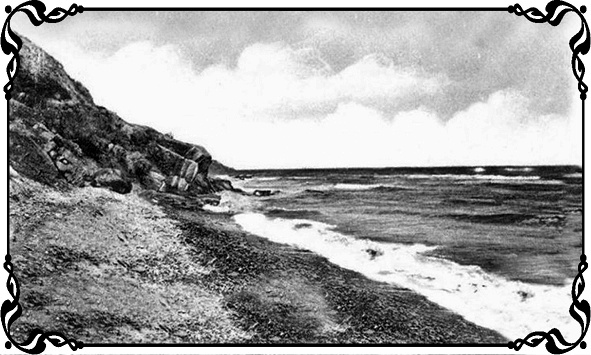 Иллюстрация к книге — Королевы Привоза [i_001.jpg]