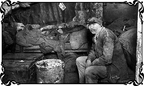 Иллюстрация к книге — Королевы Привоза [i_016.jpg]