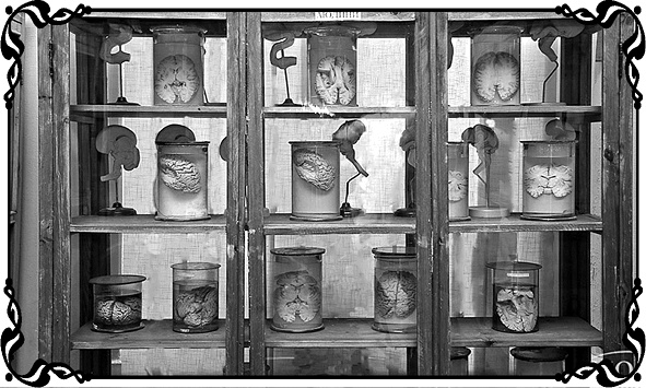 Иллюстрация к книге — Королевы Привоза [i_017.jpg]