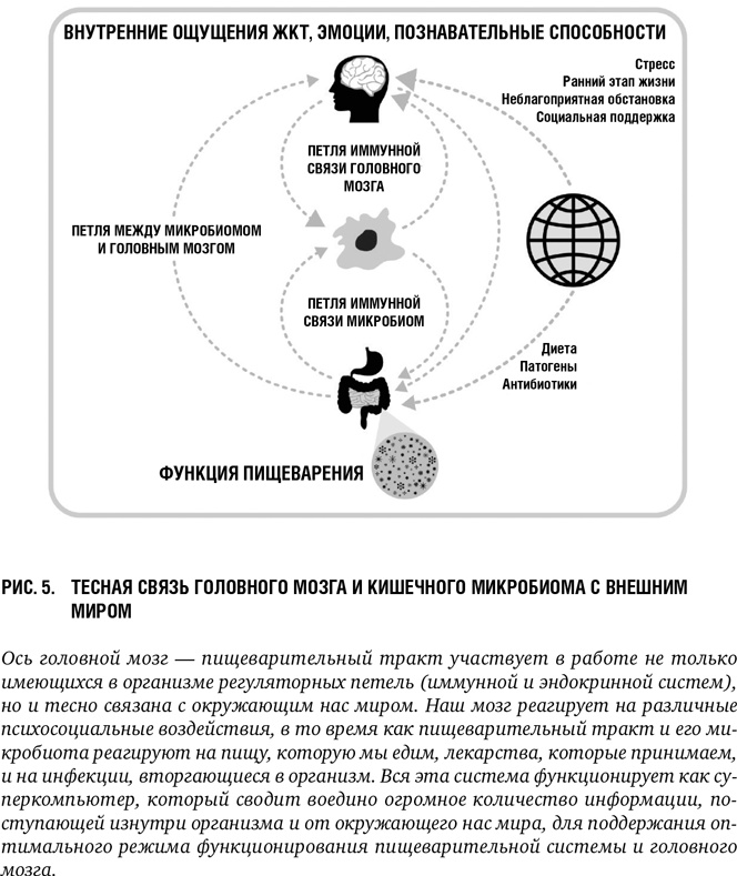 Иллюстрация к книге — Второй мозг: Как микробы в кишечнике управляют нашим настроением, решениями и здоровьем [i_006.jpg]