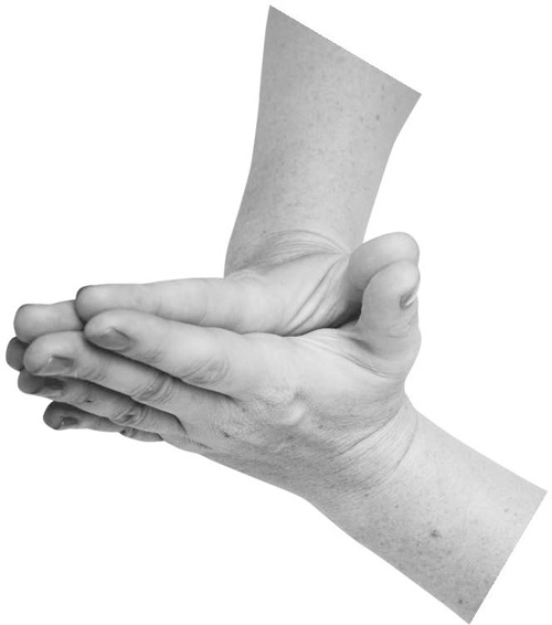 Иллюстрация к книге — Большая книга мудр. Йога для пальцев, которая даст здоровье, деньги и удачу [_038.jpg]