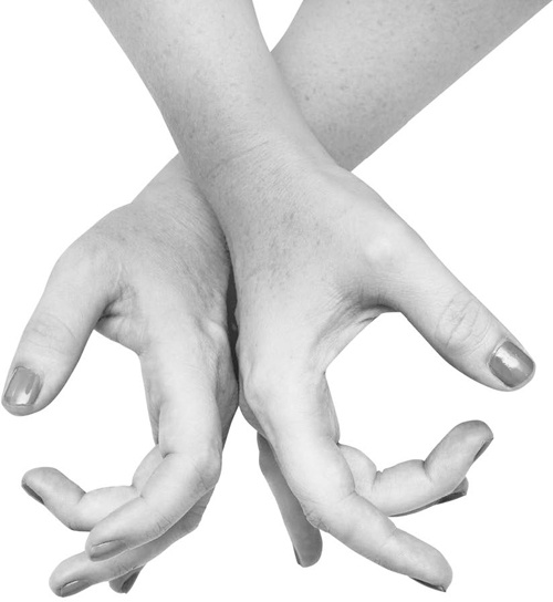 Иллюстрация к книге — Большая книга мудр. Йога для пальцев, которая даст здоровье, деньги и удачу [_043.jpg]