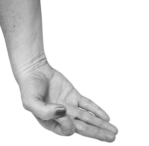 Иллюстрация к книге — Большая книга мудр. Йога для пальцев, которая даст здоровье, деньги и удачу [_051.jpg]