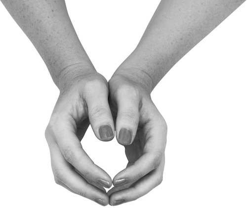 Иллюстрация к книге — Большая книга мудр. Йога для пальцев, которая даст здоровье, деньги и удачу [_060.jpg]