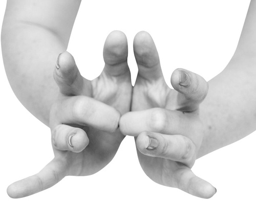 Иллюстрация к книге — Большая книга мудр. Йога для пальцев, которая даст здоровье, деньги и удачу [_075.jpg]