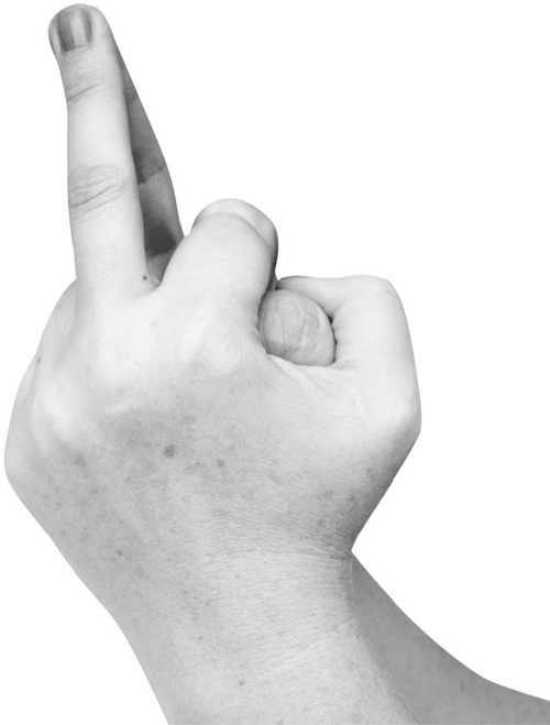 Иллюстрация к книге — Большая книга мудр. Йога для пальцев, которая даст здоровье, деньги и удачу [_076.jpg]