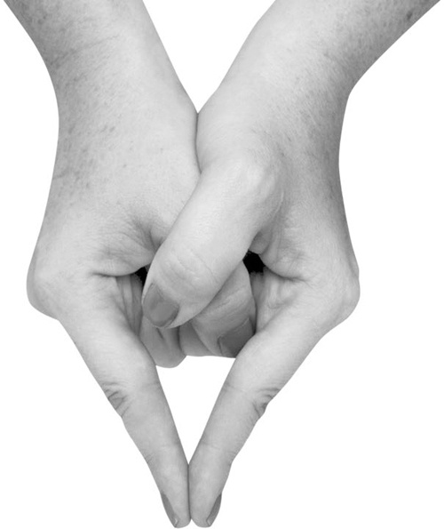 Иллюстрация к книге — Большая книга мудр. Йога для пальцев, которая даст здоровье, деньги и удачу [_078.jpg]