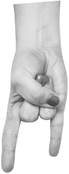 Иллюстрация к книге — Большая книга мудр. Йога для пальцев, которая даст здоровье, деньги и удачу [_080.jpg_0.jpg]