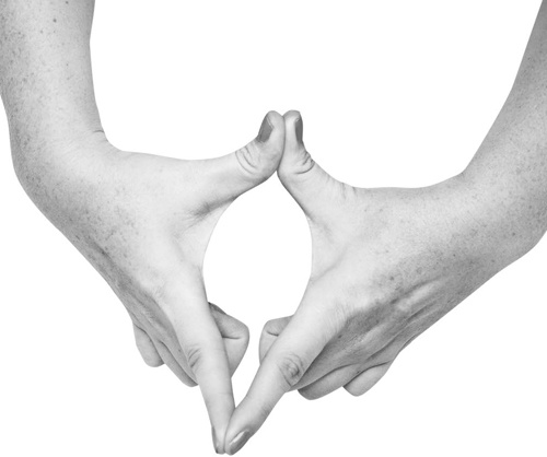 Иллюстрация к книге — Большая книга мудр. Йога для пальцев, которая даст здоровье, деньги и удачу [_088.jpg]