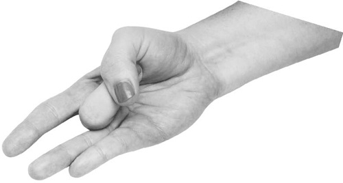 Иллюстрация к книге — Большая книга мудр. Йога для пальцев, которая даст здоровье, деньги и удачу [_091.jpg]