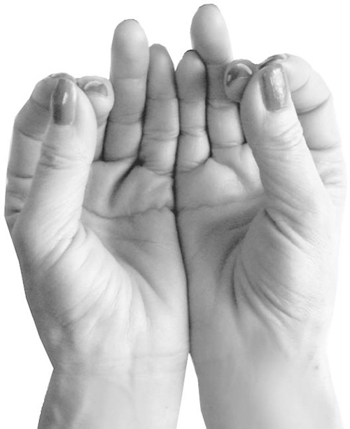 Иллюстрация к книге — Большая книга мудр. Йога для пальцев, которая даст здоровье, деньги и удачу [_103.jpg]