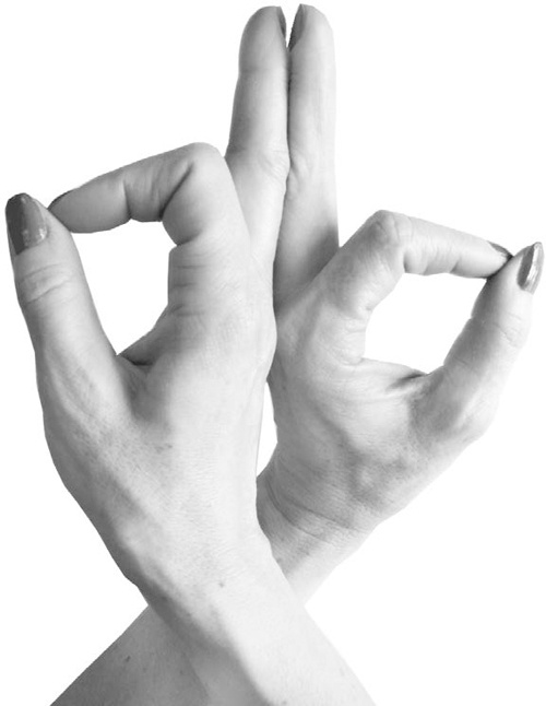 Иллюстрация к книге — Большая книга мудр. Йога для пальцев, которая даст здоровье, деньги и удачу [_106.jpg]