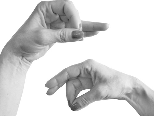 Иллюстрация к книге — Большая книга мудр. Йога для пальцев, которая даст здоровье, деньги и удачу [_114.jpg]