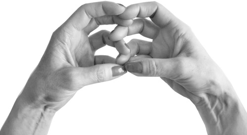 Иллюстрация к книге — Большая книга мудр. Йога для пальцев, которая даст здоровье, деньги и удачу [_134.jpg]