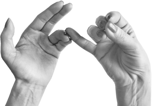 Иллюстрация к книге — Большая книга мудр. Йога для пальцев, которая даст здоровье, деньги и удачу [_138.jpg]