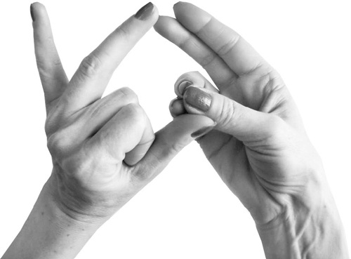 Иллюстрация к книге — Большая книга мудр. Йога для пальцев, которая даст здоровье, деньги и удачу [_155.jpg]