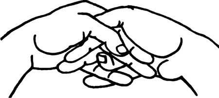 Иллюстрация к книге — Большая книга мудр. Йога для пальцев, которая даст здоровье, деньги и удачу [_176.jpg]