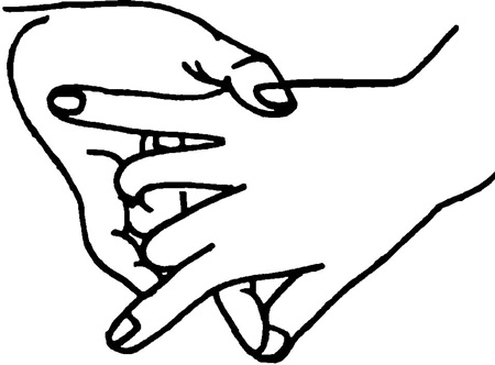 Иллюстрация к книге — Большая книга мудр. Йога для пальцев, которая даст здоровье, деньги и удачу [_1784.jpg]