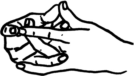 Иллюстрация к книге — Большая книга мудр. Йога для пальцев, которая даст здоровье, деньги и удачу [_1813.jpg]