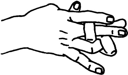 Иллюстрация к книге — Большая книга мудр. Йога для пальцев, которая даст здоровье, деньги и удачу [_183.jpg]