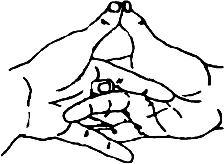 Иллюстрация к книге — Большая книга мудр. Йога для пальцев, которая даст здоровье, деньги и удачу [_1872.jpg]