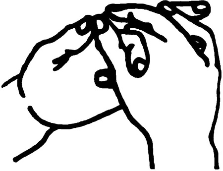 Иллюстрация к книге — Большая книга мудр. Йога для пальцев, которая даст здоровье, деньги и удачу [_1914.jpg]