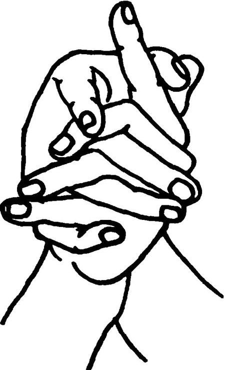 Иллюстрация к книге — Большая книга мудр. Йога для пальцев, которая даст здоровье, деньги и удачу [_2002.jpg]