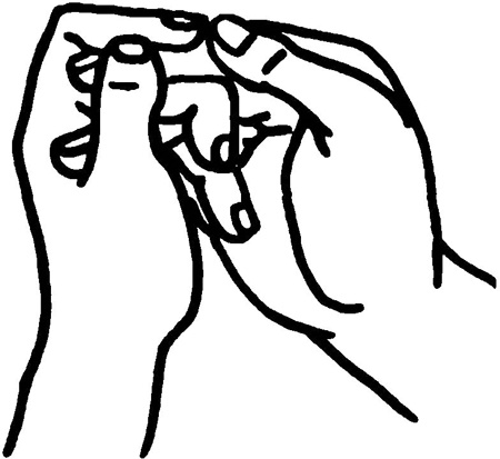 Иллюстрация к книге — Большая книга мудр. Йога для пальцев, которая даст здоровье, деньги и удачу [_2013.jpg]