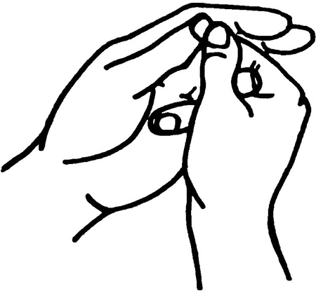 Иллюстрация к книге — Большая книга мудр. Йога для пальцев, которая даст здоровье, деньги и удачу [_205.jpg]